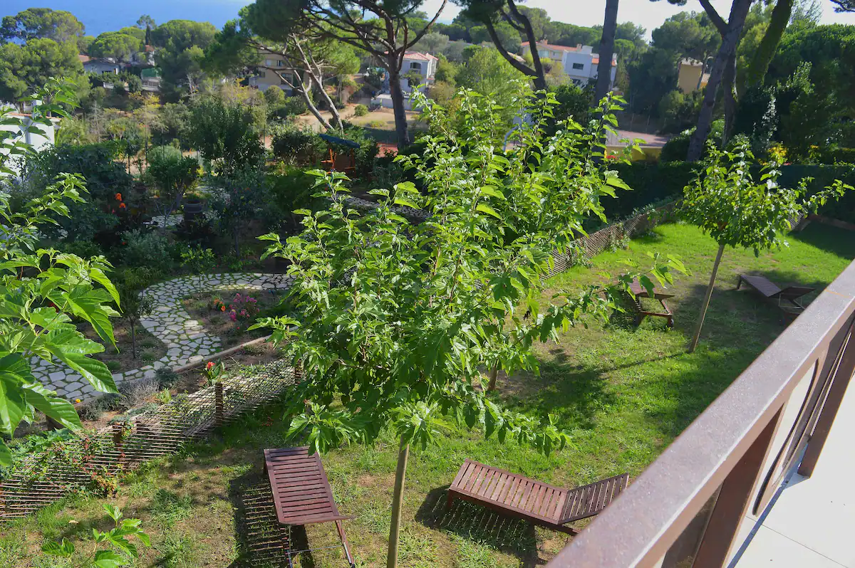 3833e8d8-f14e-48fd-a064-c167ab214153