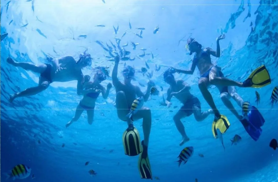 WhatsApp-Image-2023-06-15-at-17.36.15-jpeg