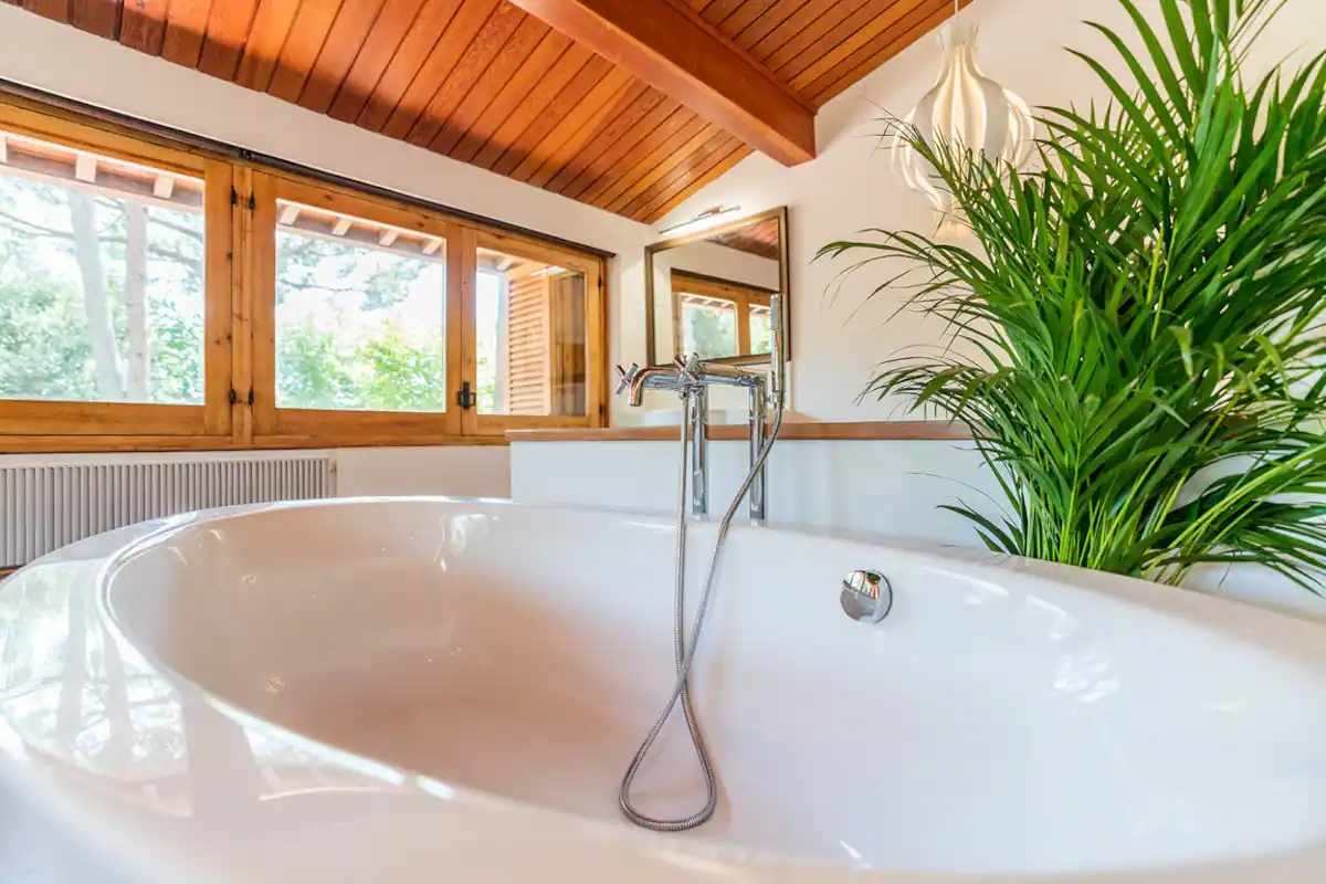 5fc80c58-336e-417c-bdb6-581f2f2432da