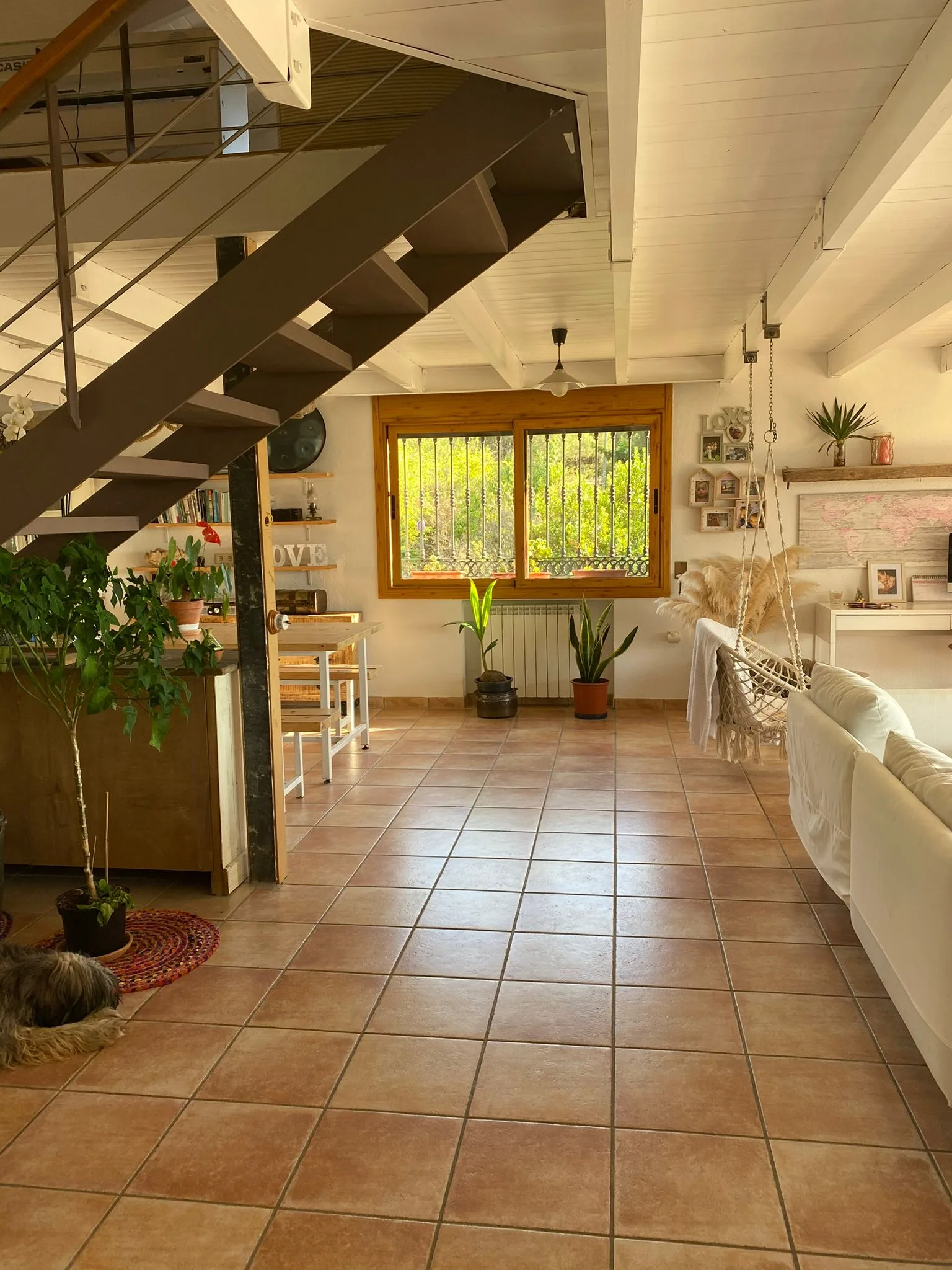 WhatsApp Image 2024-02-15 at 11.35.30