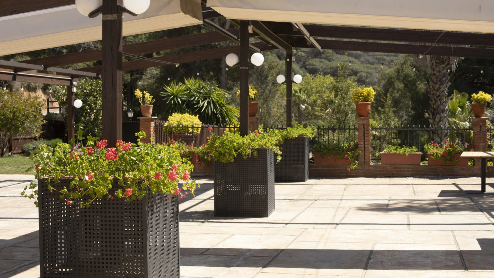 126A3514-1-scaled-e1681834582927