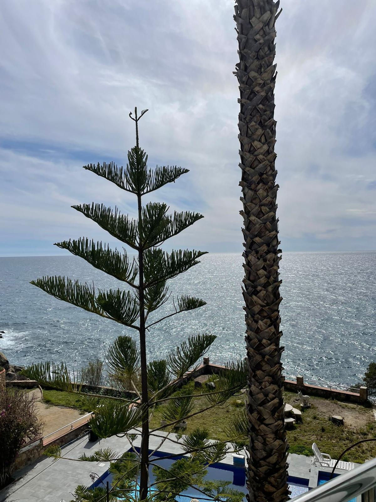 WhatsApp Image 2024-08-03 at 14.26.51 (2)