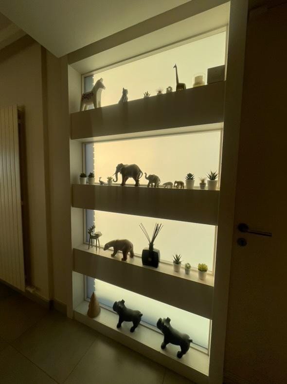 WhatsApp Image 2025-01-21 at 14.17.37