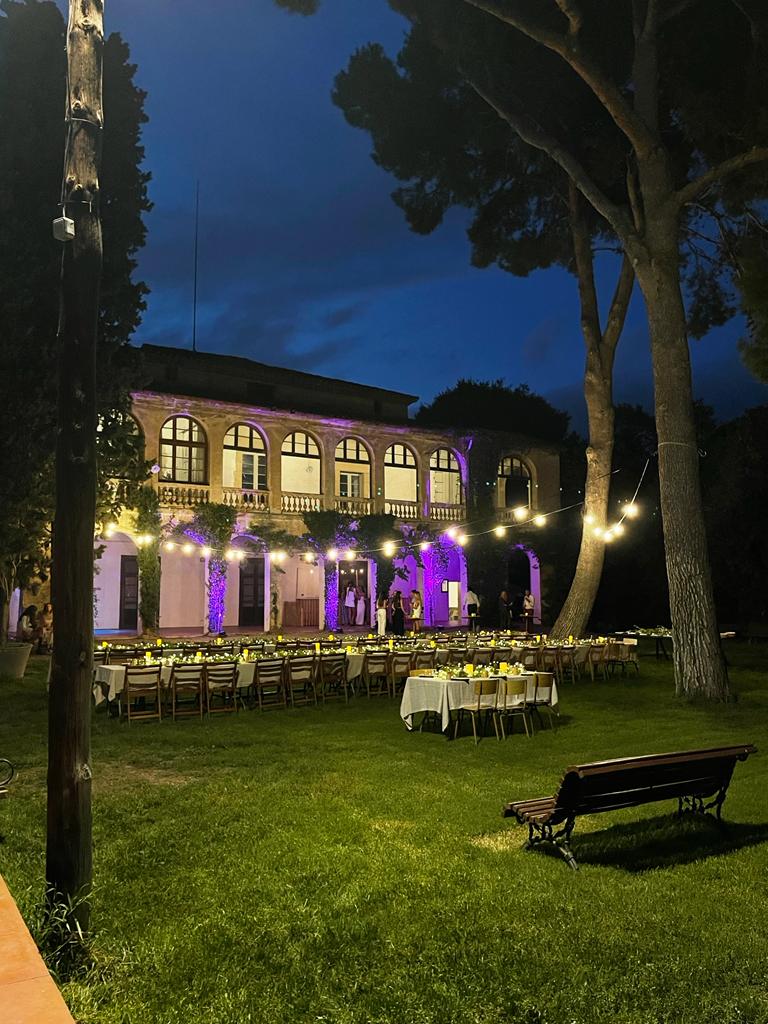 WhatsApp Image 2025-02-18 at 20.50.53