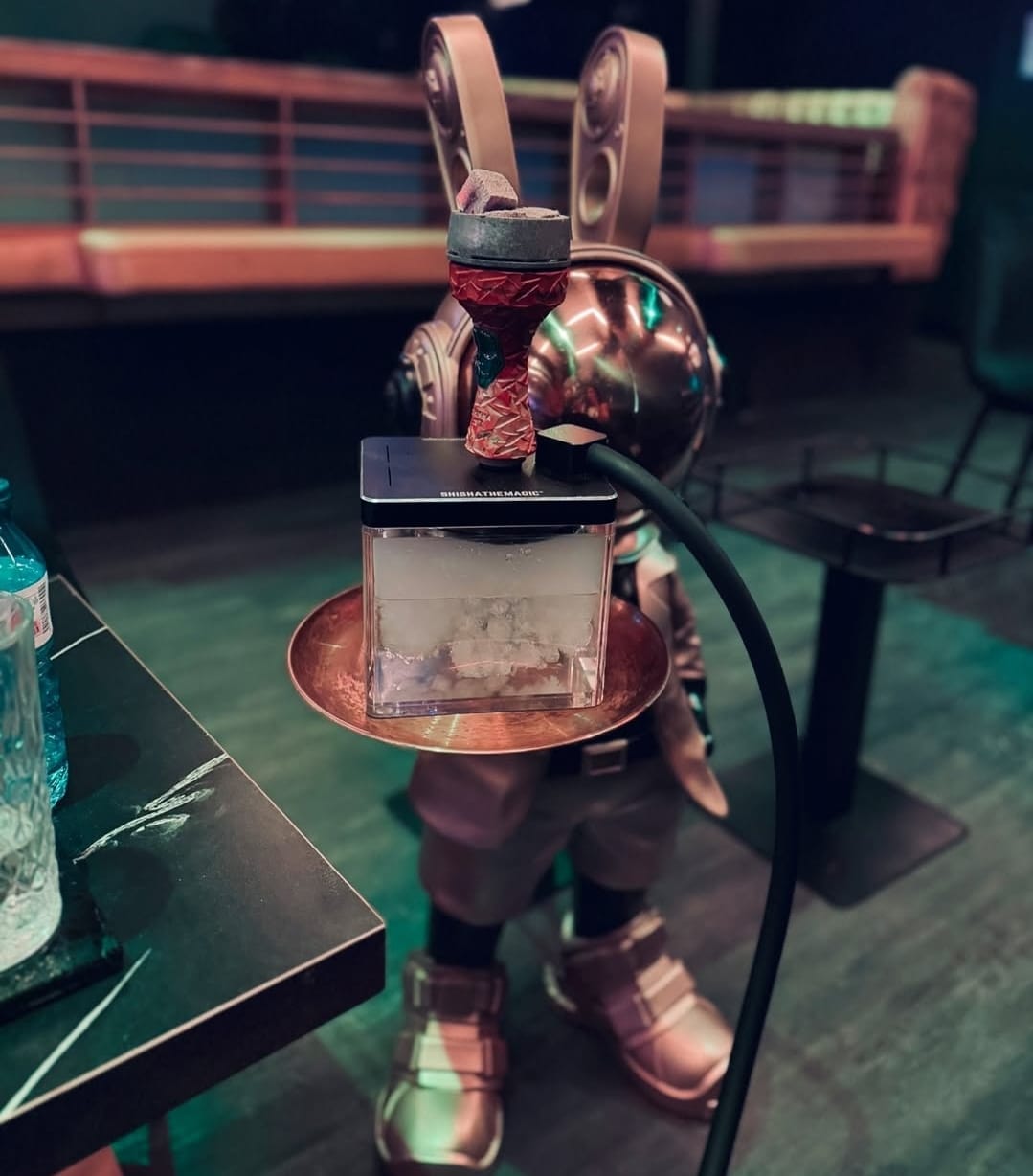 WhatsApp Image 2025-04-26 at 11.11.44 (4)