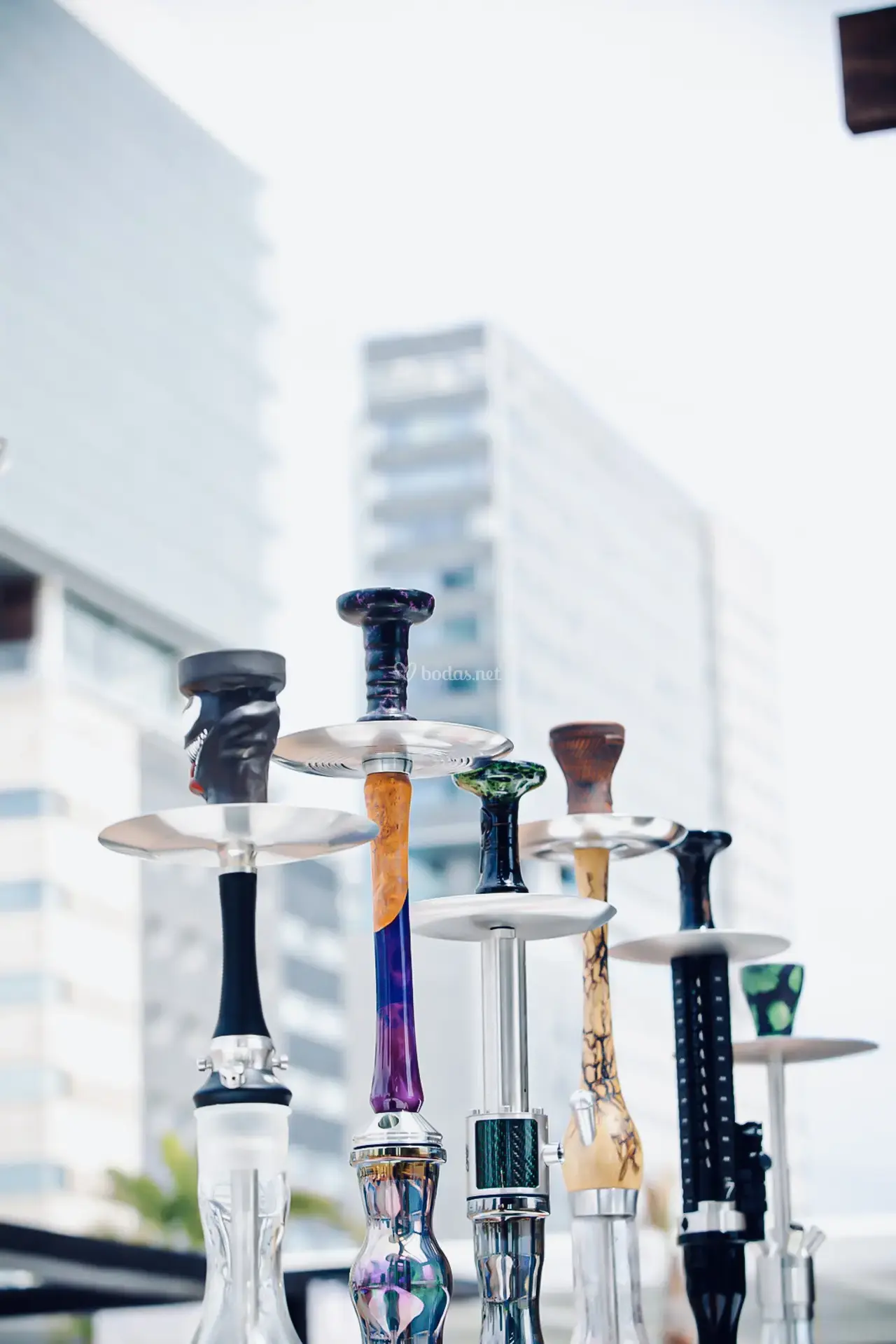 img-7712_1_200484-173186021094166