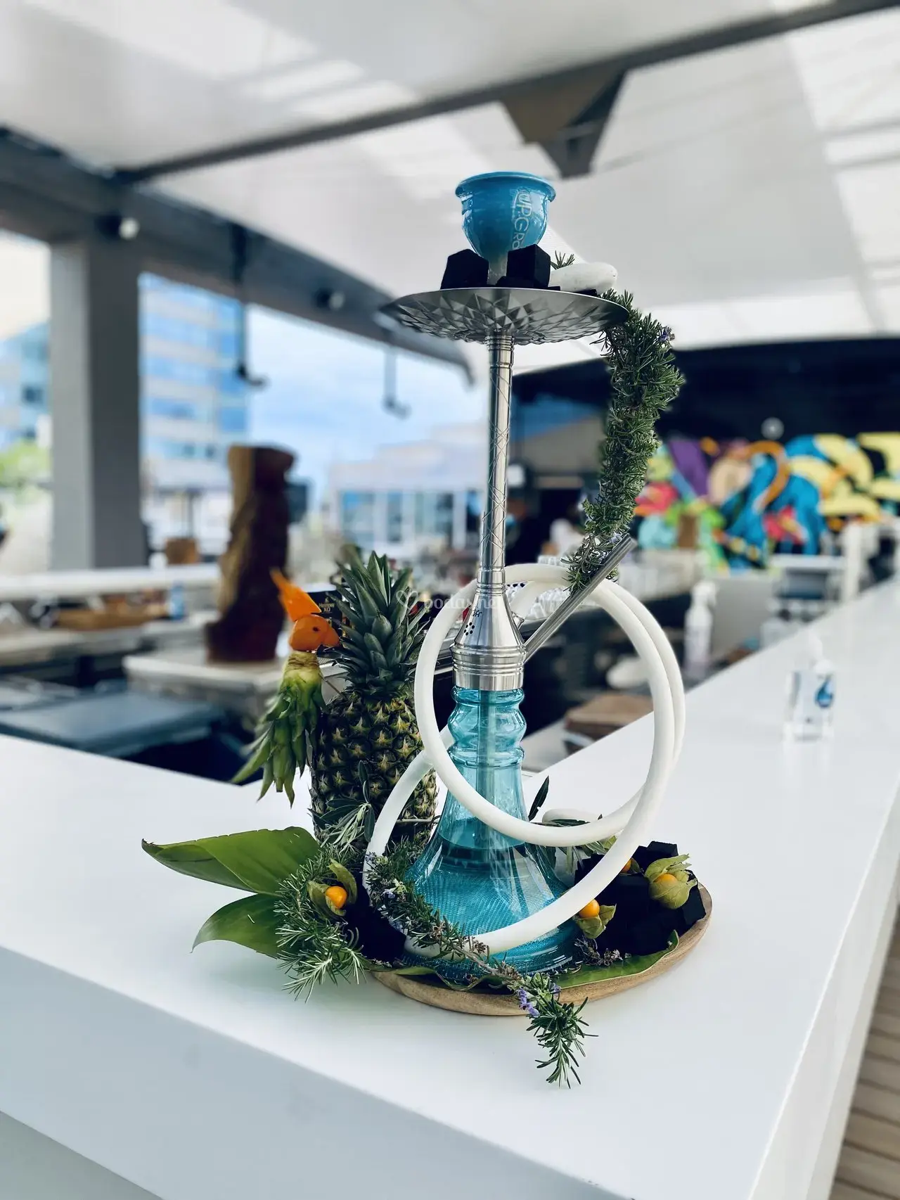 img-7872_1_200484-173186021697463