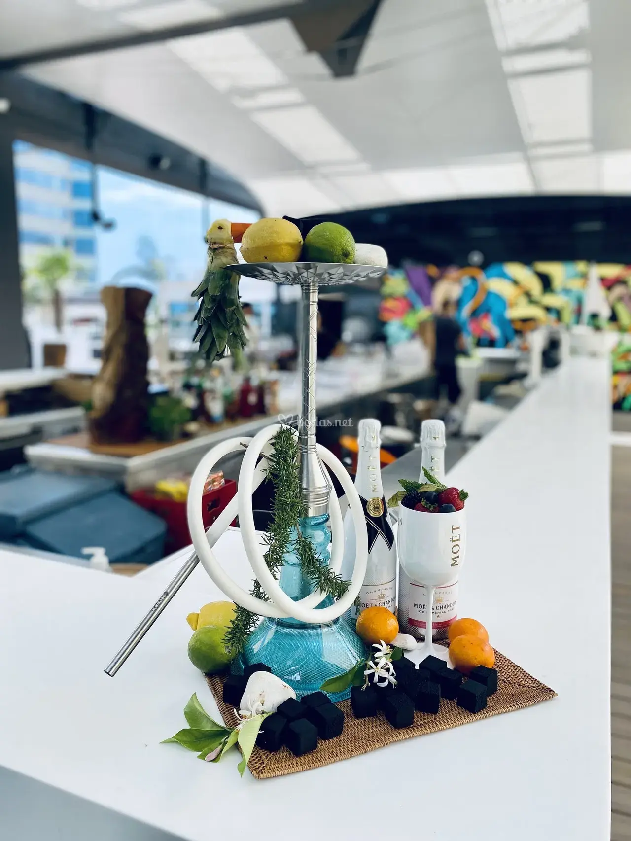 img-8103_1_200484-173186020870067