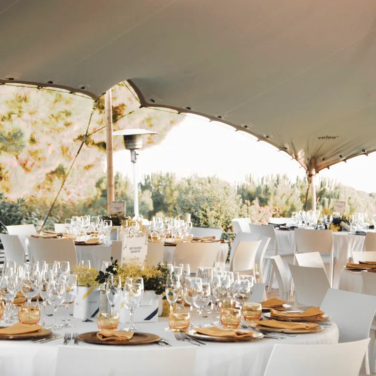 corporativ-21-edited-scaled