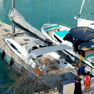 Guests-Boarding-Sphynx-300x300