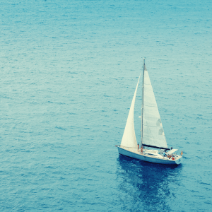 Sphynx-Above-300x300