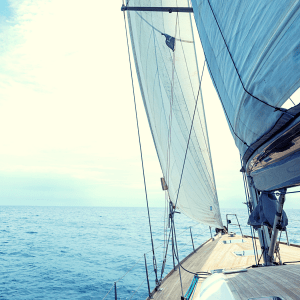 Sphynx-All-Teck-Deck-300x300