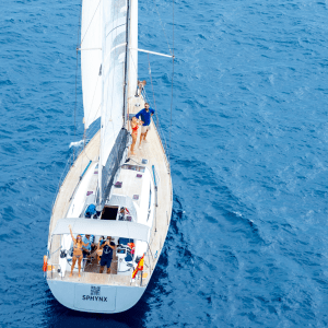 Sphynx-From-Above-300x300