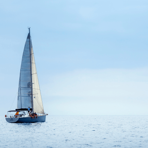 Sphynx-Horizon-300x300