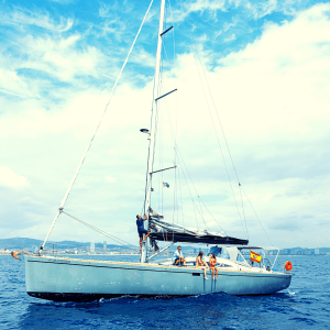 Sphynx-Port-Side-300x300