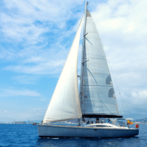 Sphynx-Port-Side-Sailis-Up-300x300