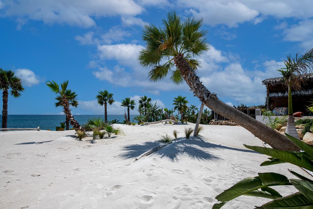 WhatsApp Image 2026-03-09 at 09.22.29 (1)