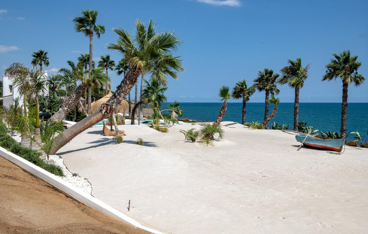 WhatsApp Image 2026-03-09 at 09.22.29 (5)