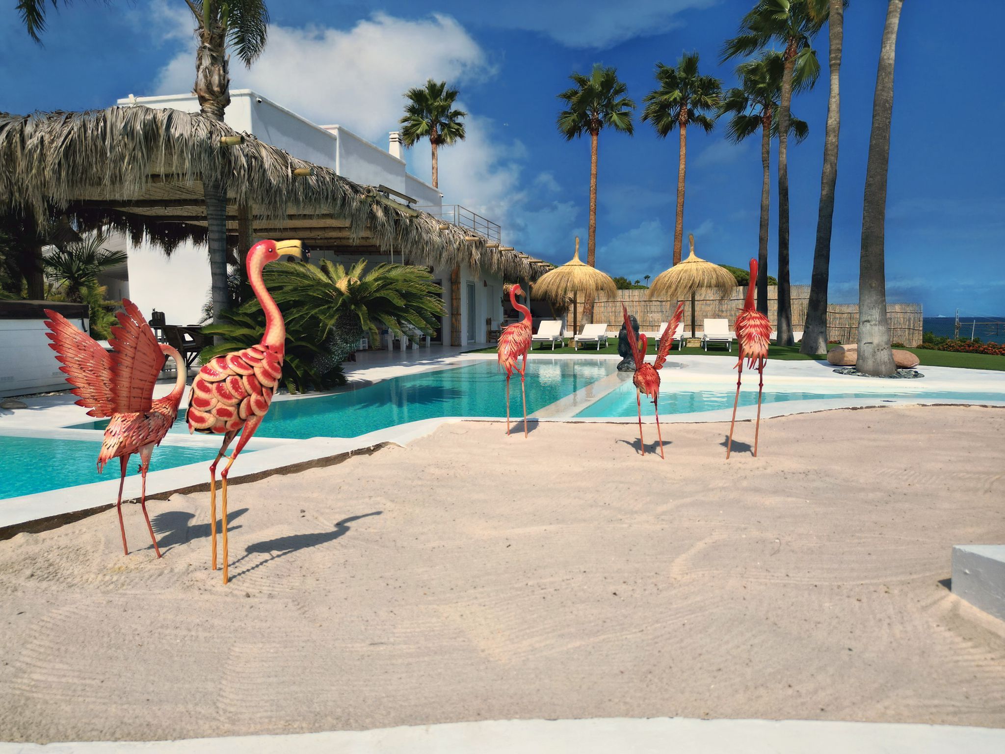 WhatsApp Image 2026-03-09 at 09.22.30